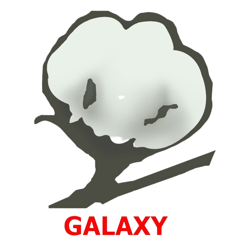 Galaxy Cotton Coporation Logo